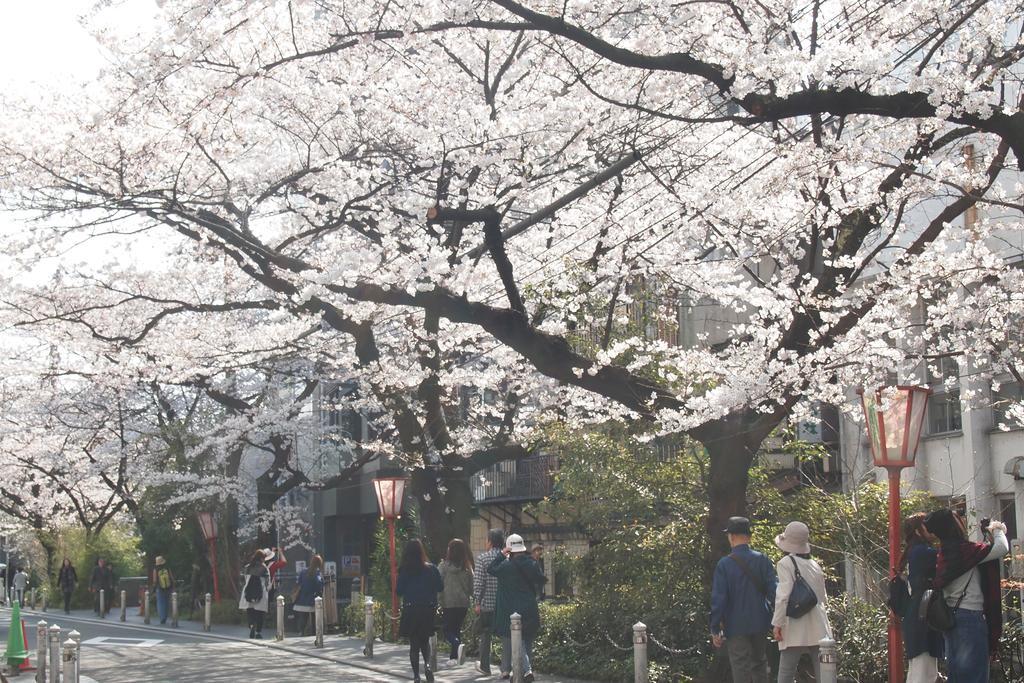 Bijuu Hotell Kyoto Exteriör bild