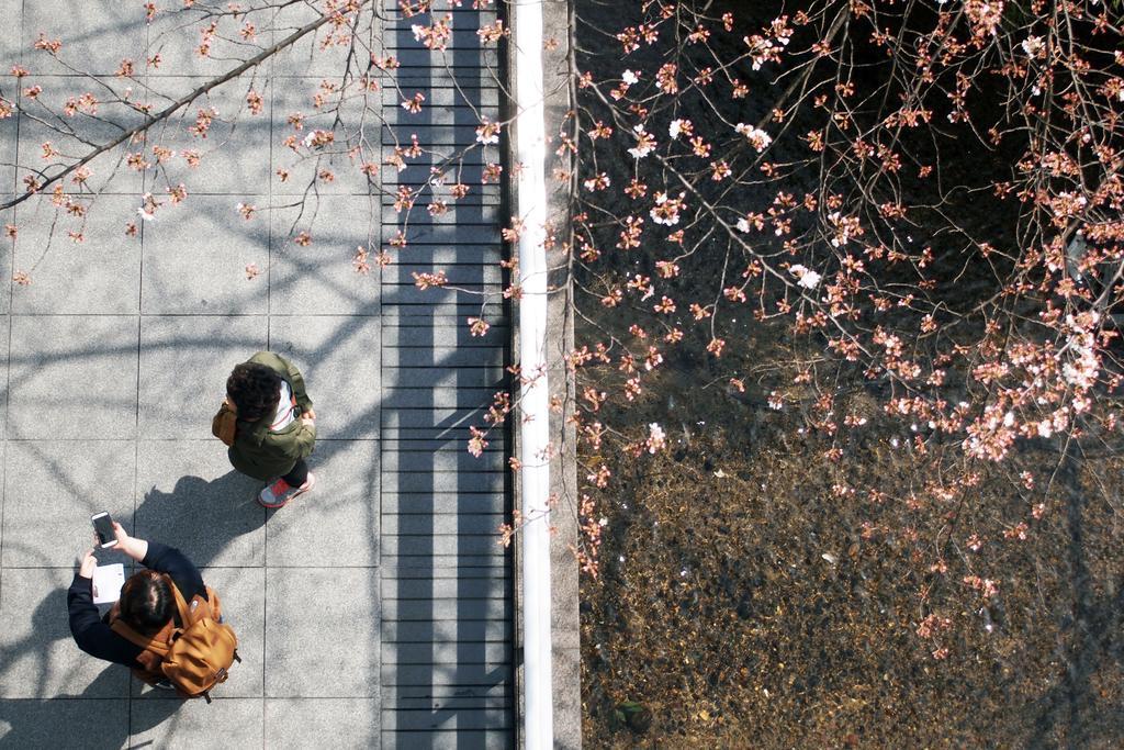 Bijuu Hotell Kyoto Exteriör bild